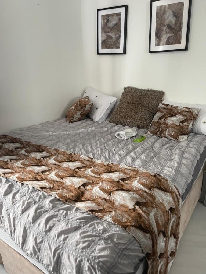 Spacious One Bedroom Ft In Central London King'S Cross Zewnętrze zdjęcie