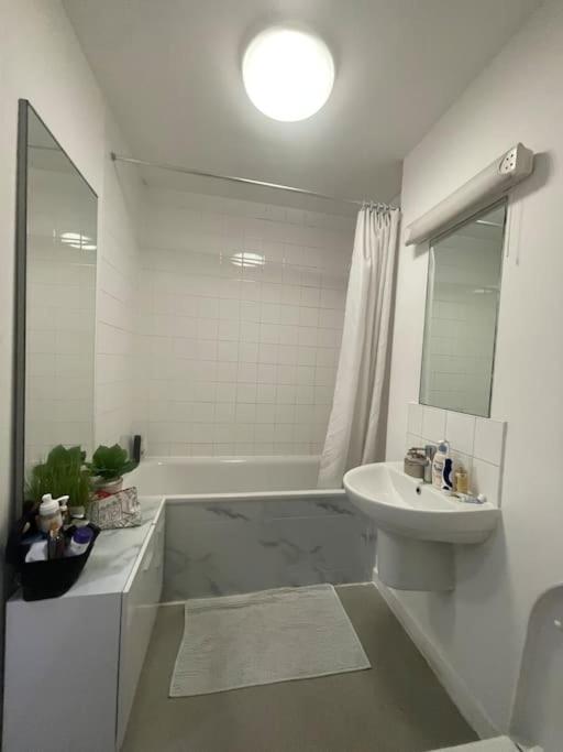 Spacious One Bedroom Ft In Central London King'S Cross Zewnętrze zdjęcie
